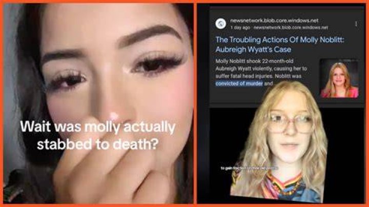 Breaking The Cycle: Aubreigh's Triumph Over Bully Molly